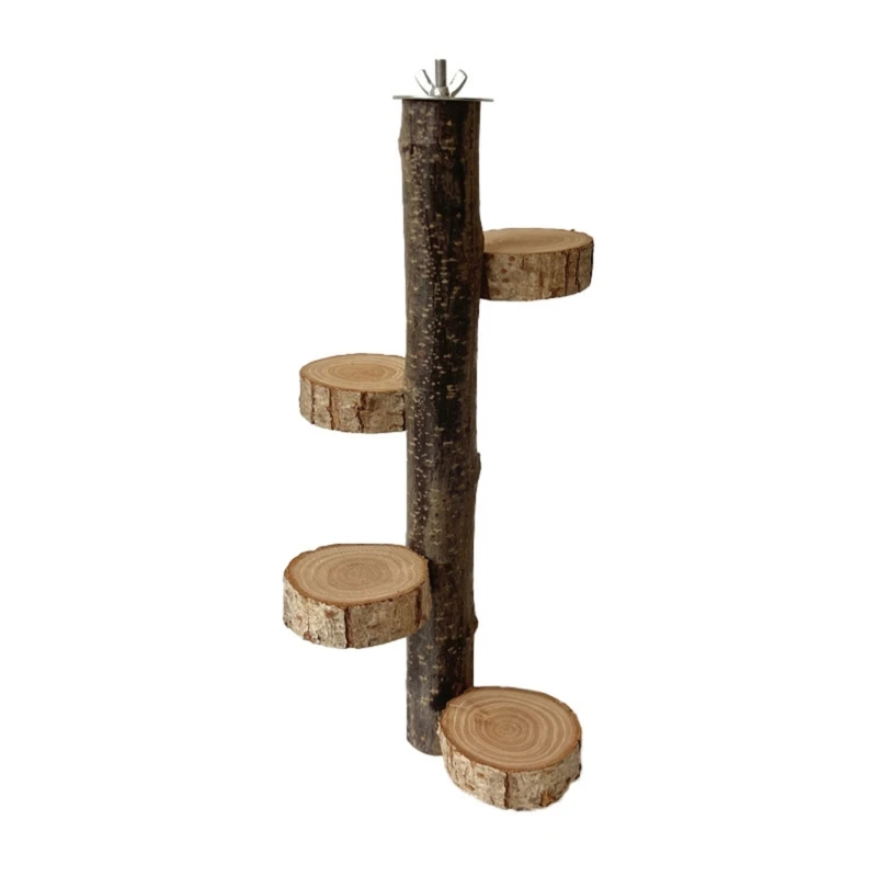 

Bird Training Stand Portable Tabletop Lightweight Parrot Perch with Rotating Platform for Small Medium Parakeets Drop Shipping
