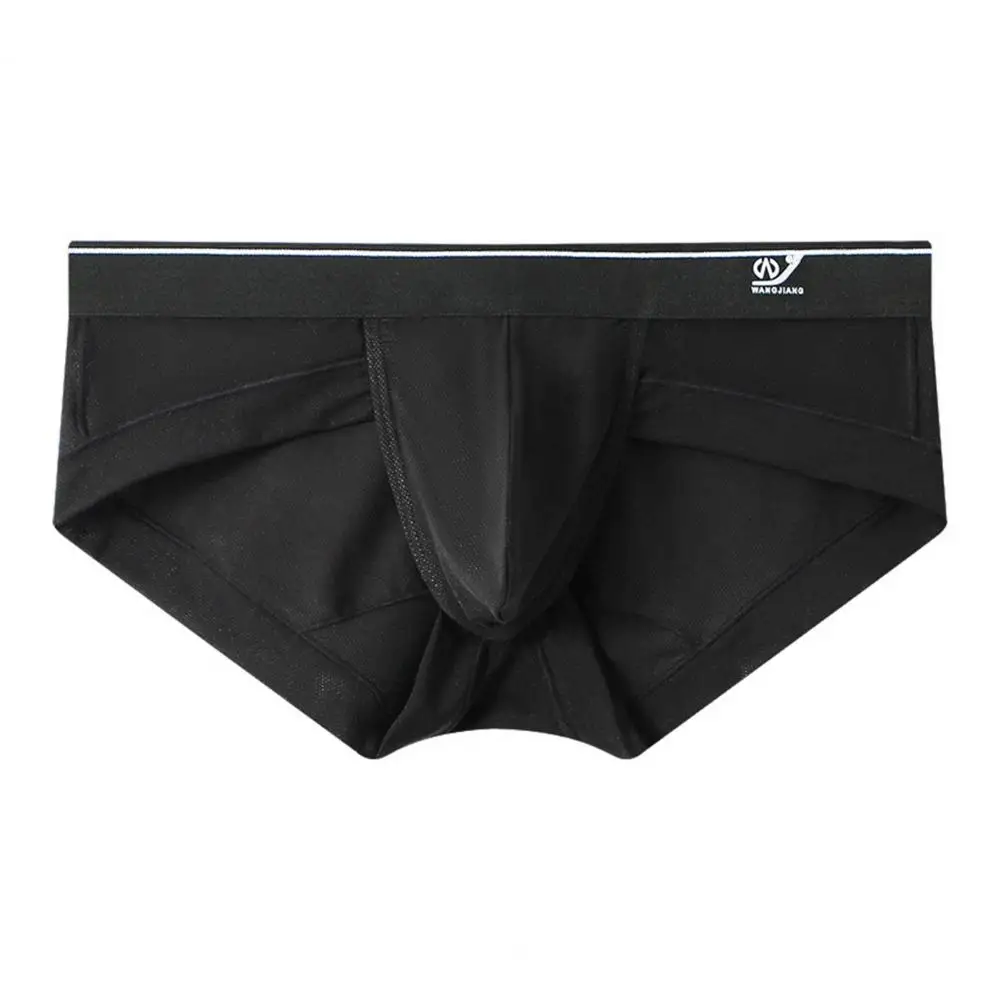 Soft Men Summer Underpants Breathable Mesh Slim Fit Soft Men Panties  Thin Men Underpants Men Garment