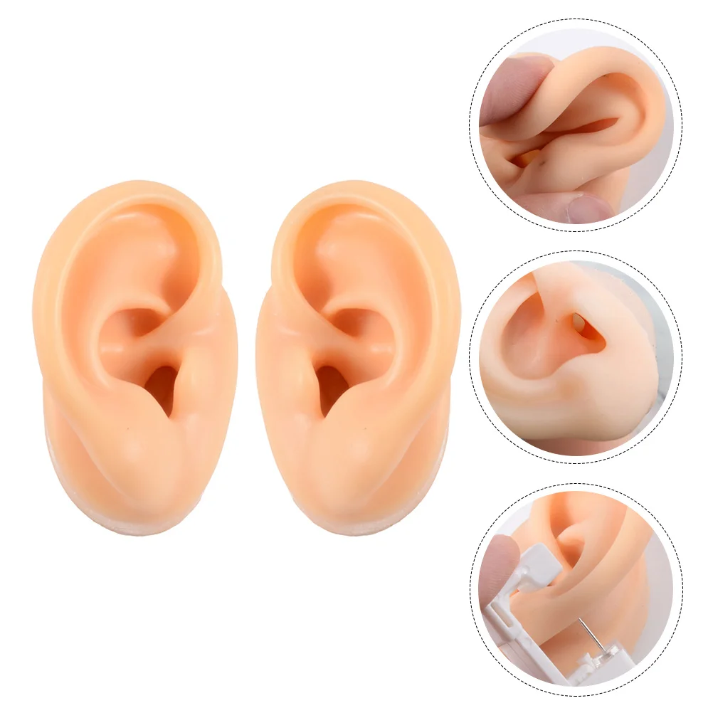 

Ear Model Simulation Samples Earphones Display Models Human Tuile Molds Silicone