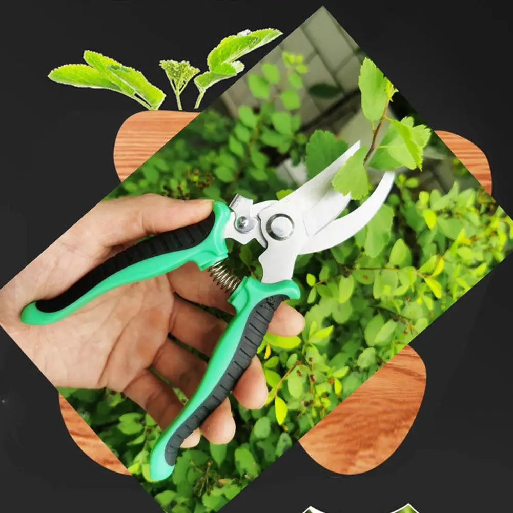 Садовые ножницы из нержавеющей стали ручная машинка для обрезки фруктовых