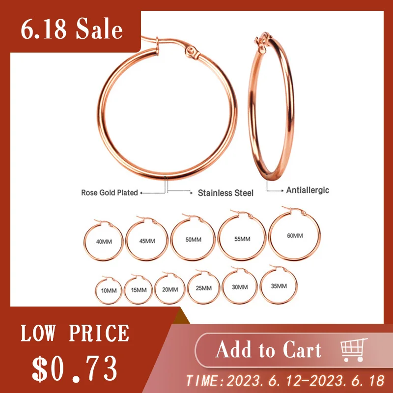 ASON 1Pair/2Pcs Stainless Steel Hoop Earrings For Women Men Rose Gold Color Hip Hop Round Small Big Circle Huggies Punk Jewelry