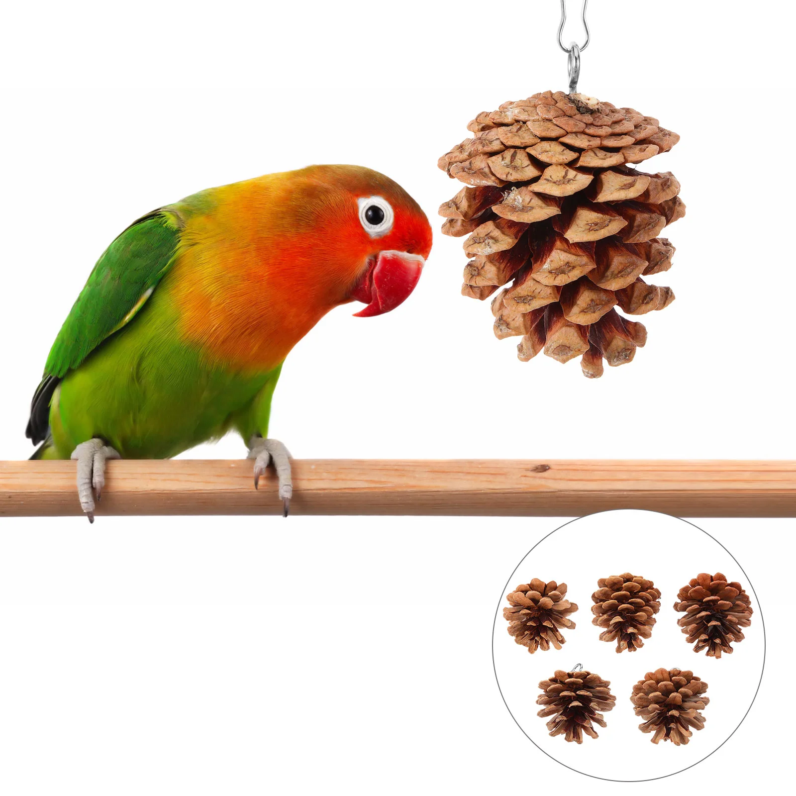 

10 Pcs Hanging Parrot Chewing Toy The Birdcage Tearing Toys Pine Cones Foraging