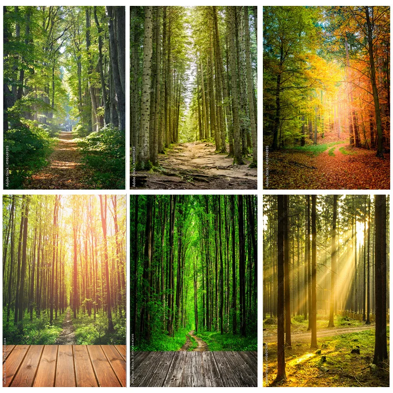 

SHUOZHIKE Natural Scenery Photography Background Forest Landscape Travel Photo Backdrops Studio Props 22331 SELI-09