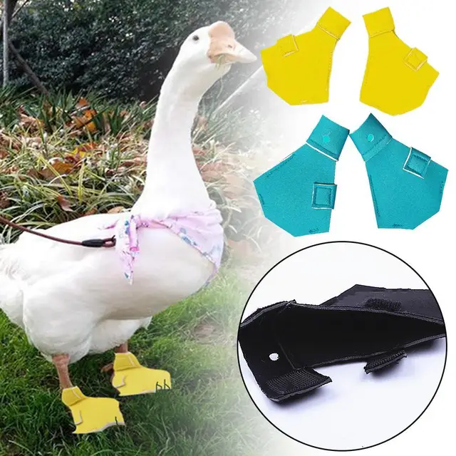 2pcs Waterproof Lightweight Pet Duck Shoes Casual Walking Booties Footwear For Small Ducks Gooses Outdoor Duck Booties 1