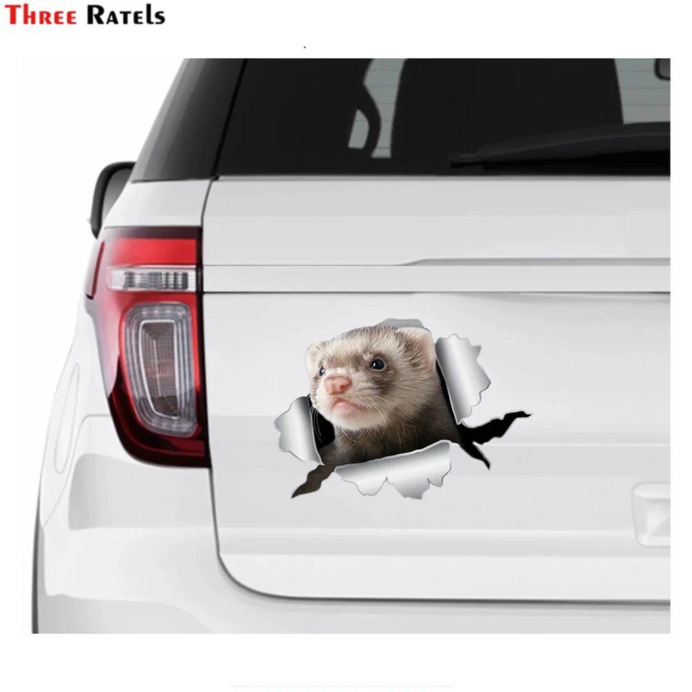 

Three Ratels I565 Funny Ferret Car Decal Laptop For Car Styling Decoration Vinyl Material Waterproof