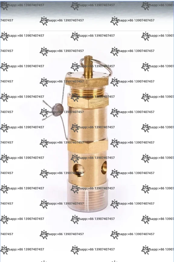 Фото Предохранительный клапан A28X-16TA27W-16TDN25DN32 полностью медная пружина с внешней резьбой a-ir компрессор сброса давления №1