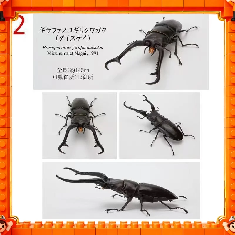 Фото 2026 Оригинальная модель Bandai GP Ikimono Taikan Stag Beetle 11 (Prosopocoilus Giraffa) в наличии, игрушка-подарок №3