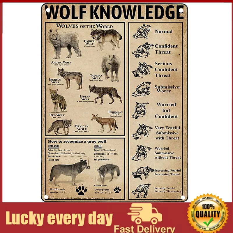 

Metal Tin Sign Wolf Knowledge Retro Tin Poster Plaque for Infographic Wall Decoration of Bar Cafe Club School room decoration
