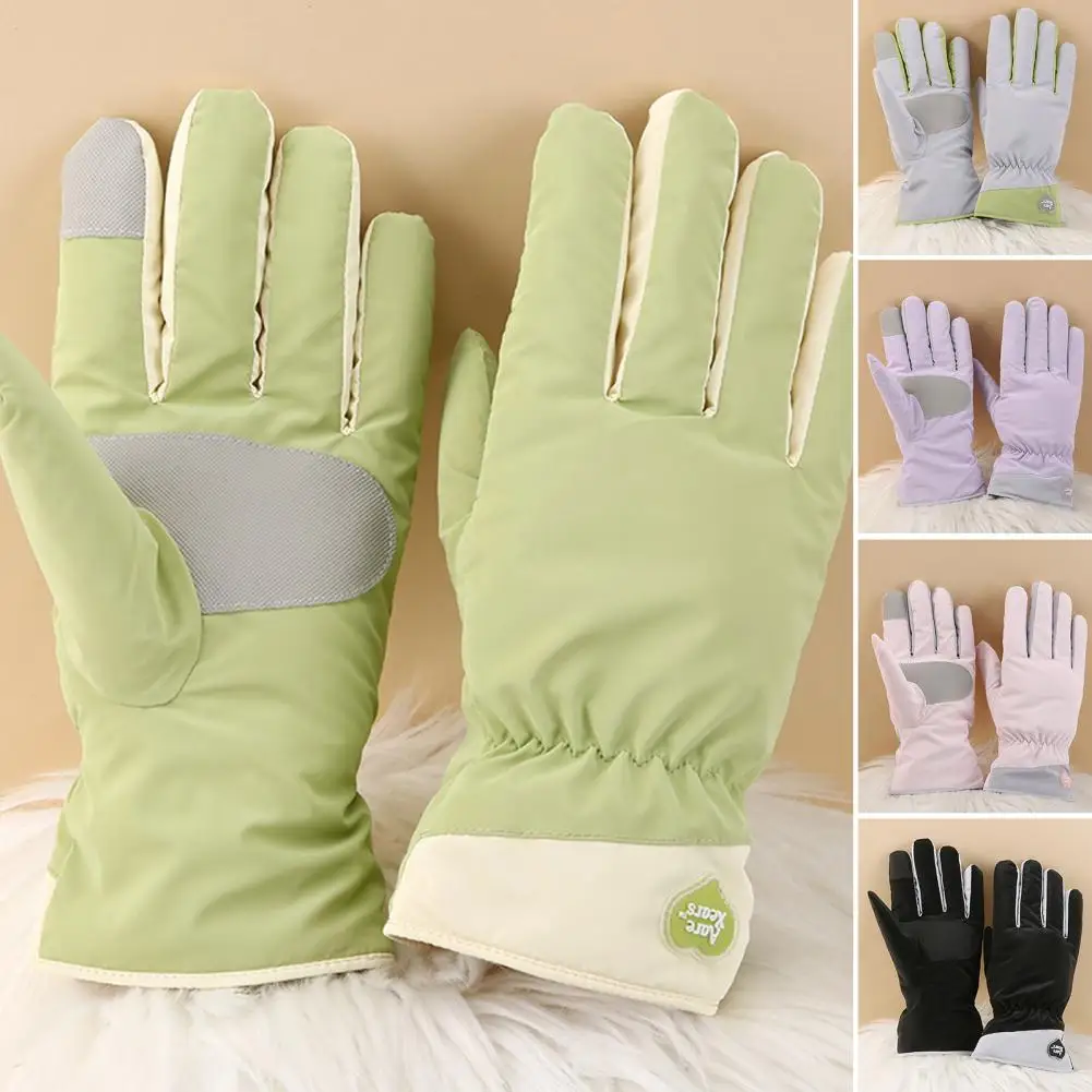 

1 пара, однотонные Зимние перчатки для женщин и девушек