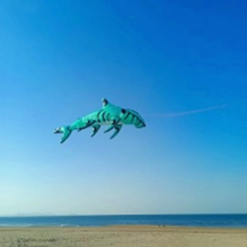 Большой рыбный воздушный змей подвеска для взрослых летающие мягкие воздушные