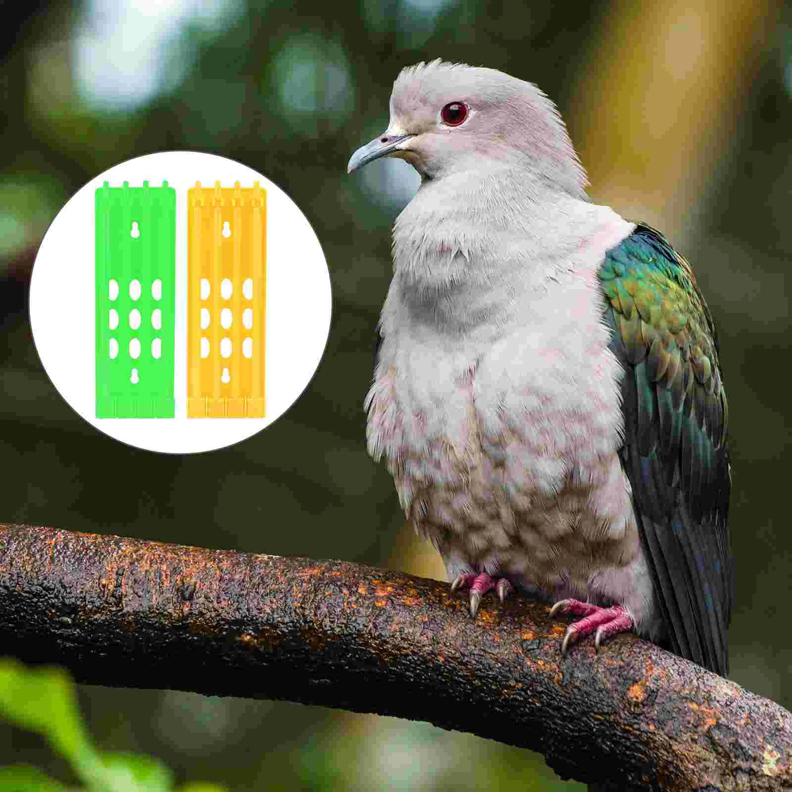 

Pigeon Ring Leg Rack Holder Foot Racing Band Storage Homing Supplies Rings Place Supply Bird Identification Stand Training Gym