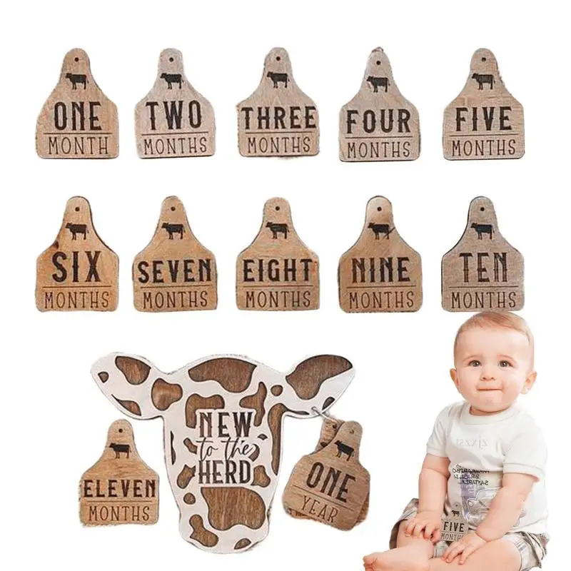 

Highland Cow Monthly Milestone Highland Cow Infant Wooden Milestone Markers Month To Month Set 13 Pcs Milestone Cards New To The