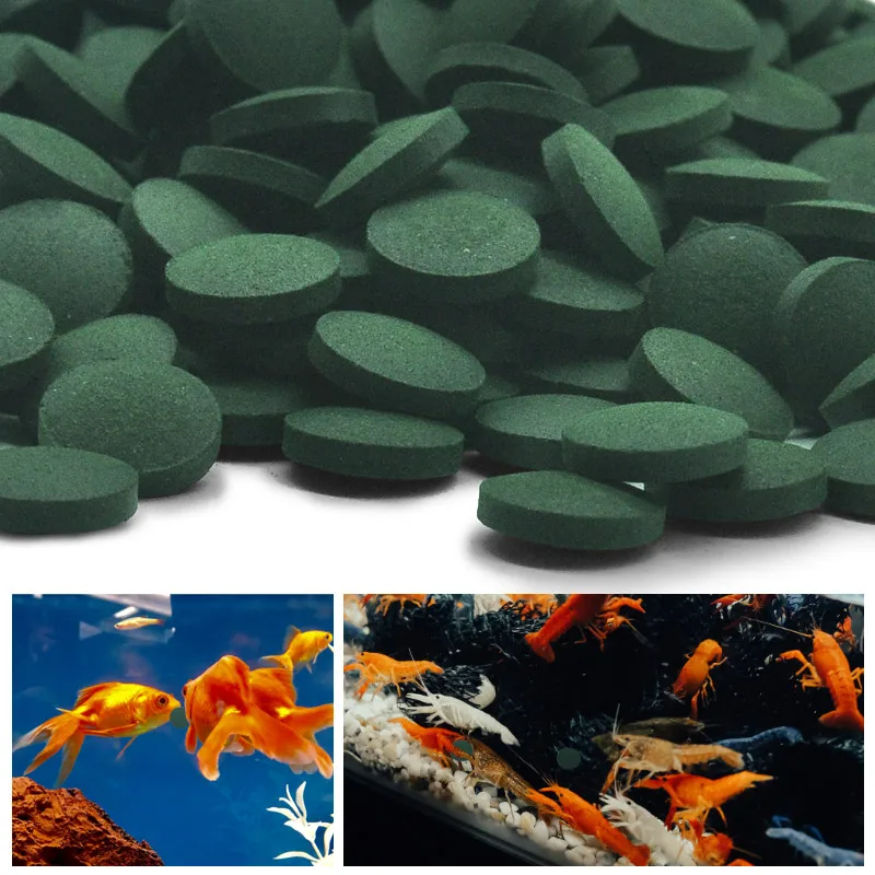 

100-2500pcs Spirulina Tablets Enrichment Favorite Pet Food Fish Crystal Red Shrimp Fish Food Aquarium Accessories