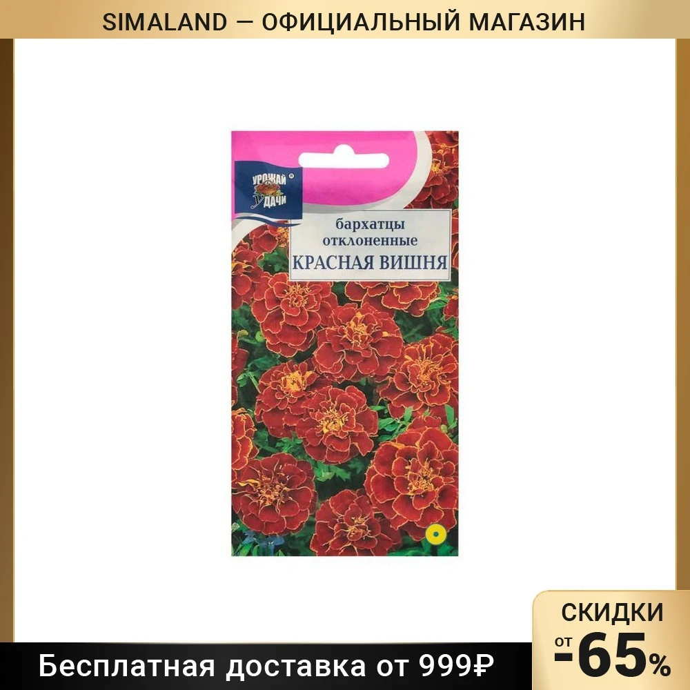 Вишня Семена Купить