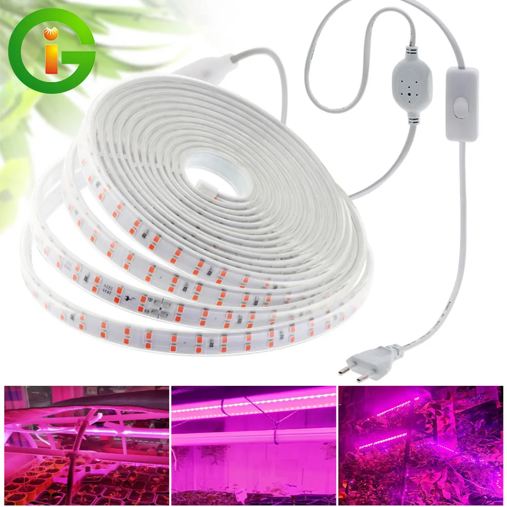 Ac220v Phyto Lamp For Plants Flowers Greenhouses Hydroponic