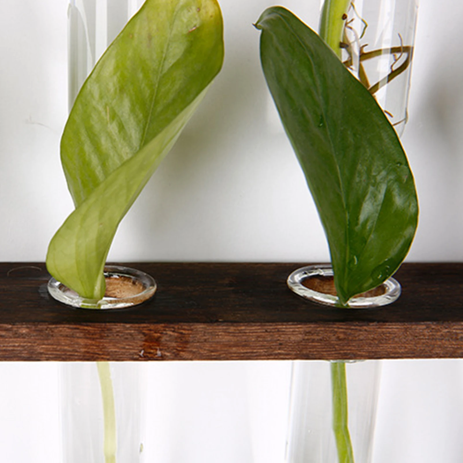 Retro Wall Hangings Planter Home Outdoor 3 Tiered Test Tube Flower Vases Transparent Vase Hydroponic Terrarium Plant Pot | Дом и сад