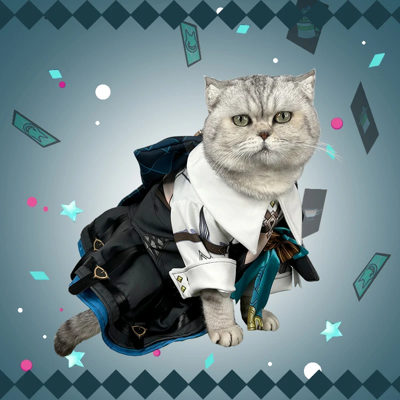 Аниме Genshin Impact Lynette мультфильм маленькая кошка искусственное пальто костюм для