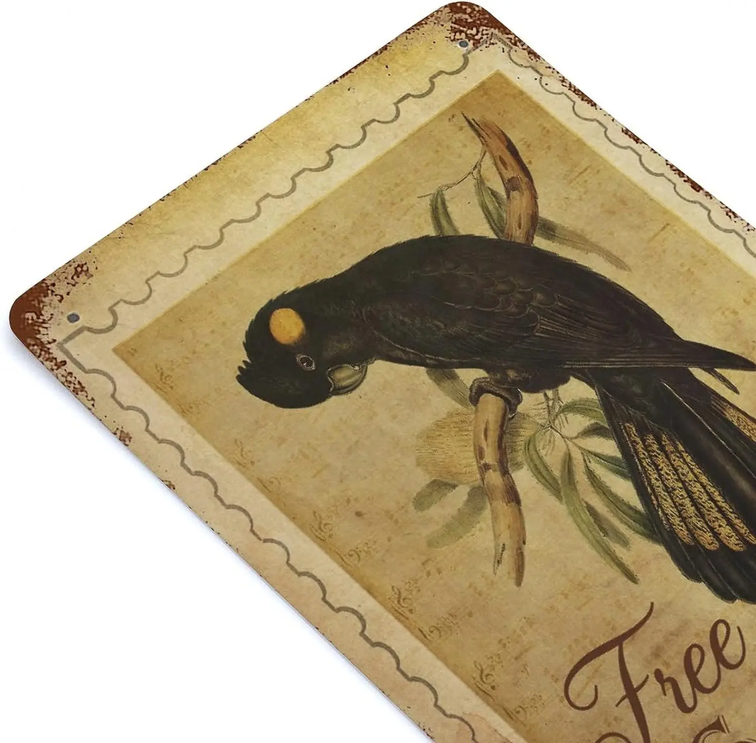 Металлическая Оловянная вывеска акварель Цветная птица алюминиевая