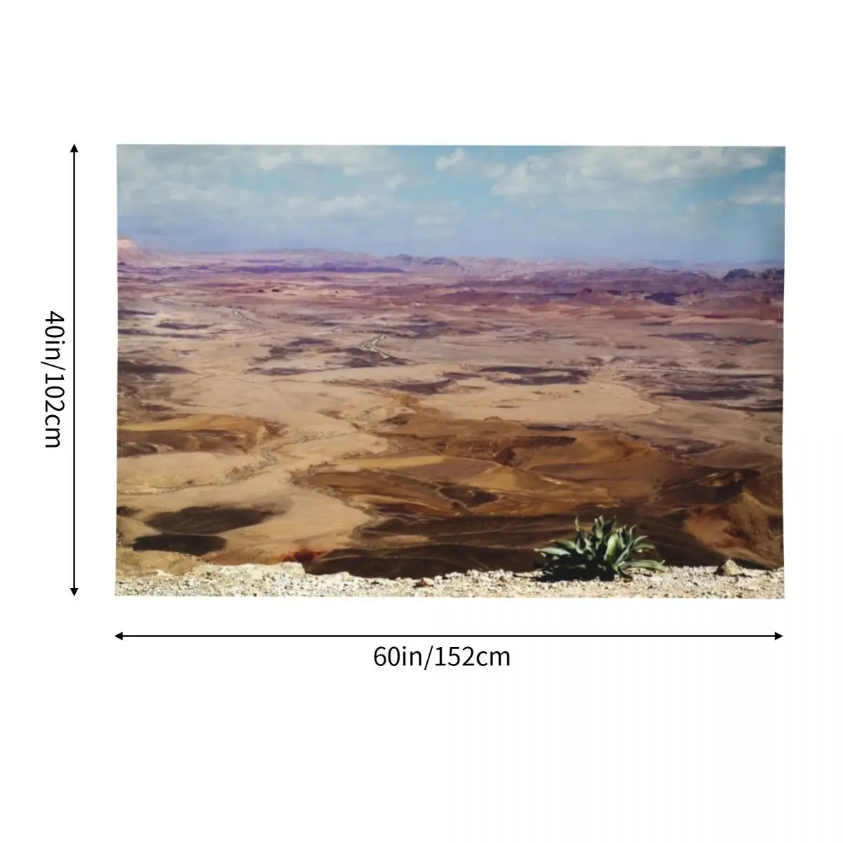 Настенный гобелен Israel Mitzpe Ramon. Plant at Ramon Crater