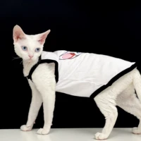 cotton sling sphinx hairless cat clothes german devon rex bottoming summer anti hair loss homewear sphynx cat shirts for cats