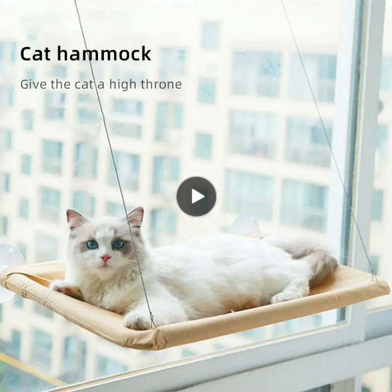 

Дышащая подставка для домашних животных, милый гамак без запаха, защита от укусов, товары для домашних животных, уютное удовольствие