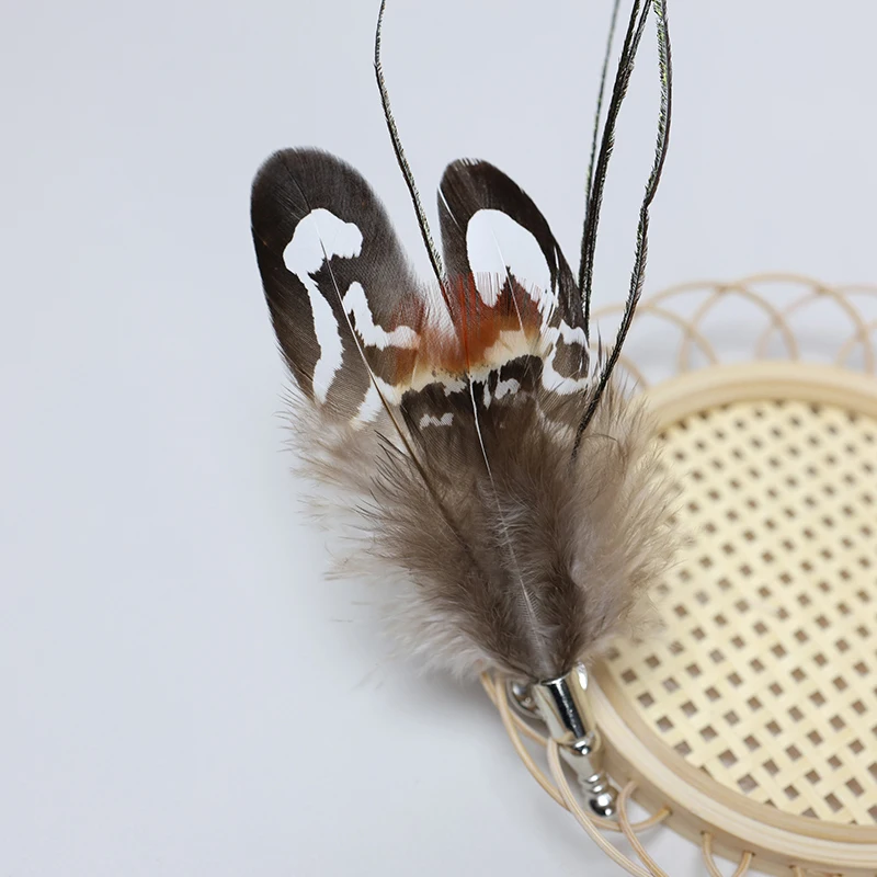 Красочные Изготовленные На Заказ броши в виде перьев фазана петуха перья модная