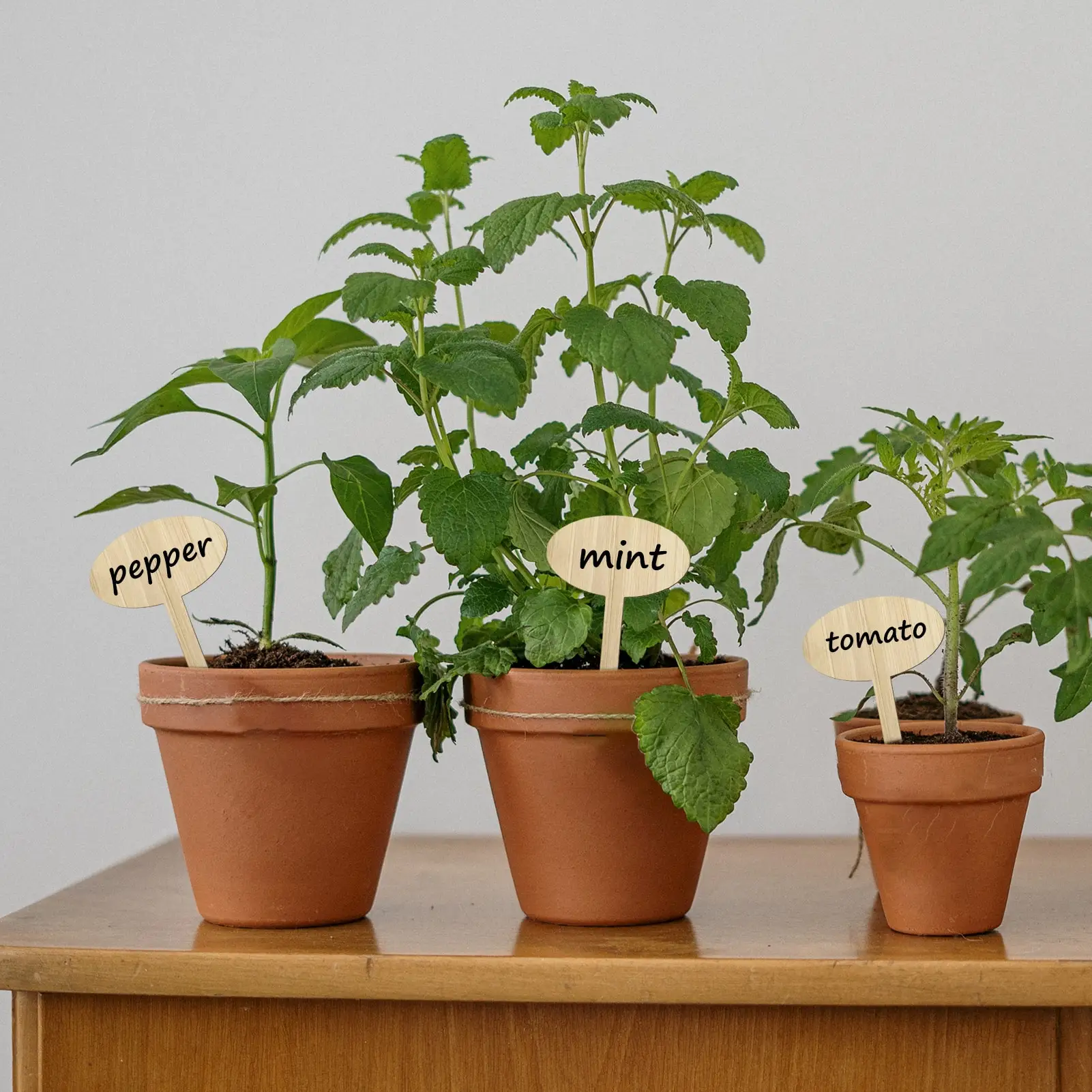 

50PCS Bamboo Plant Labels Garden Potted Plant Mark Seed Label T-Type Wooden Plant Sign Tags For Seedlings Vegetables Potted