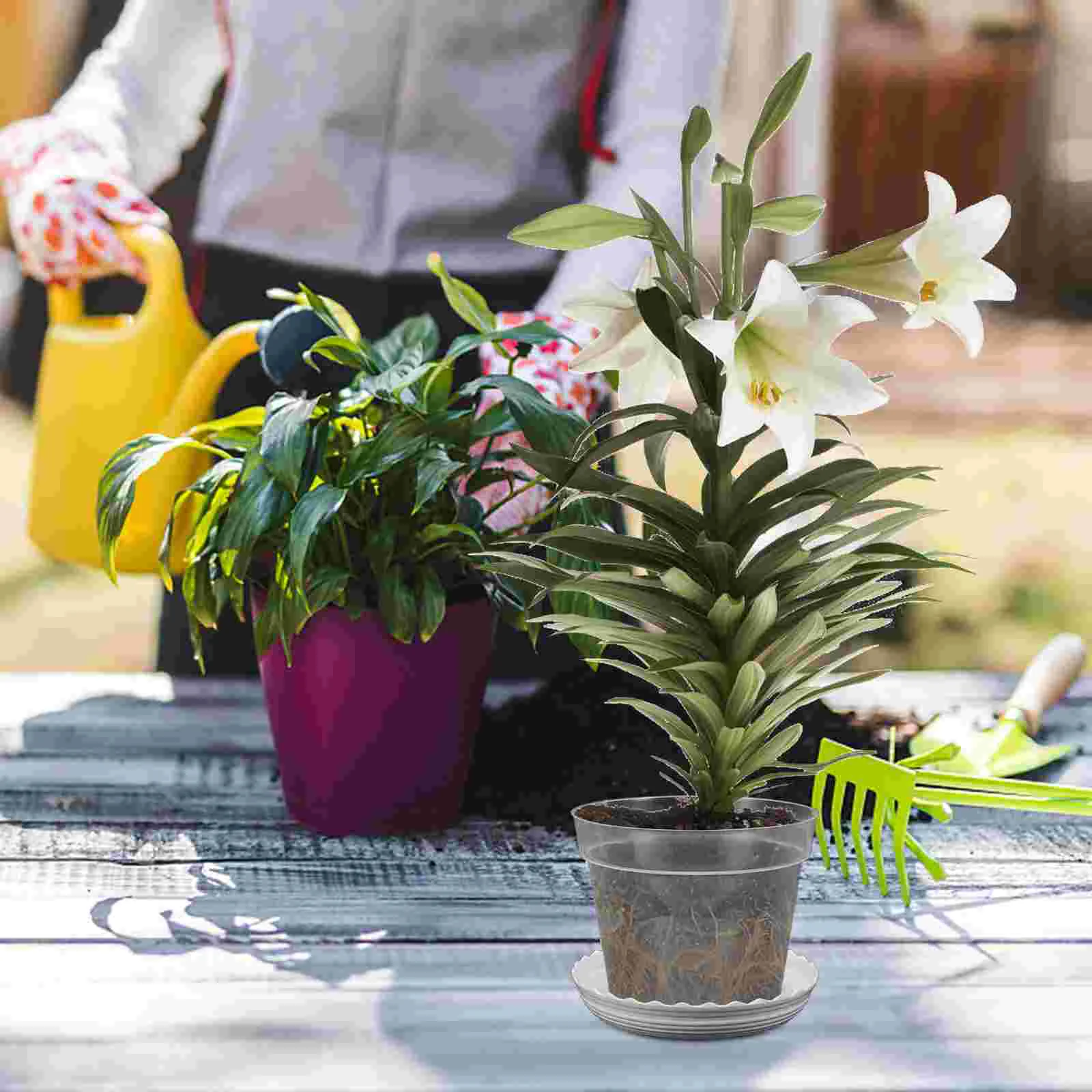 

2 Sets Pots Drainage Holes Indoor Orchid Planter Nursery Clear Outdoor Small