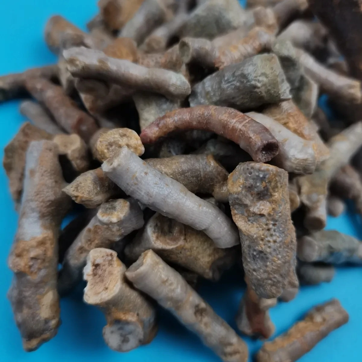 5Pcs Natural Crystal Original Stone Mine Cordyceps Stone Antique Collection Ornamental Stone Ornaments