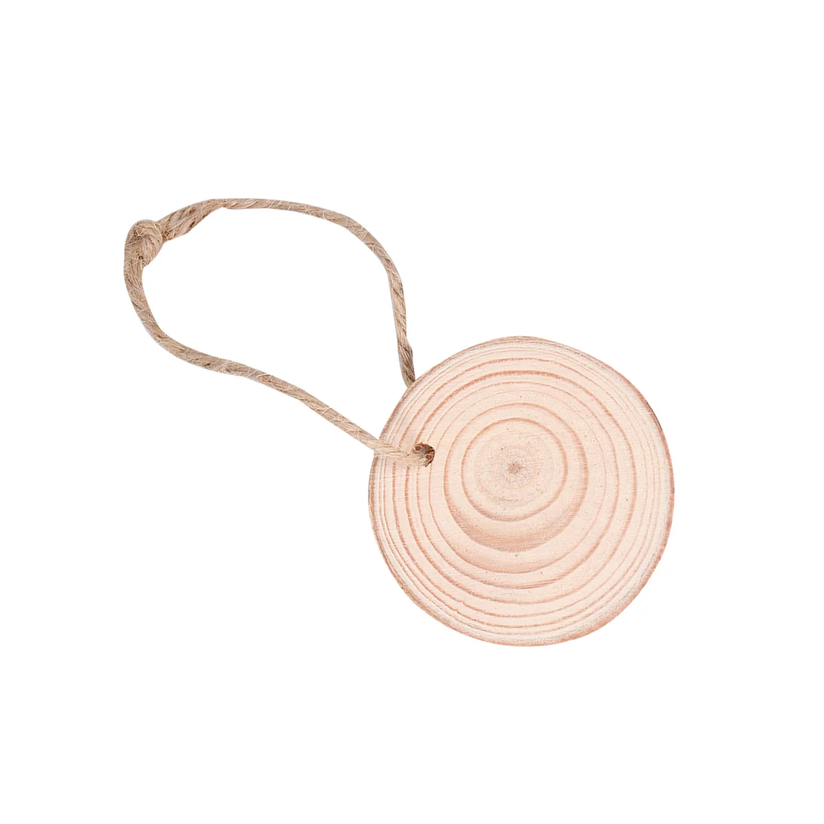 

10pcs Slice Unfinished Natural Round Discs for Photo Props Handwork Christmas
