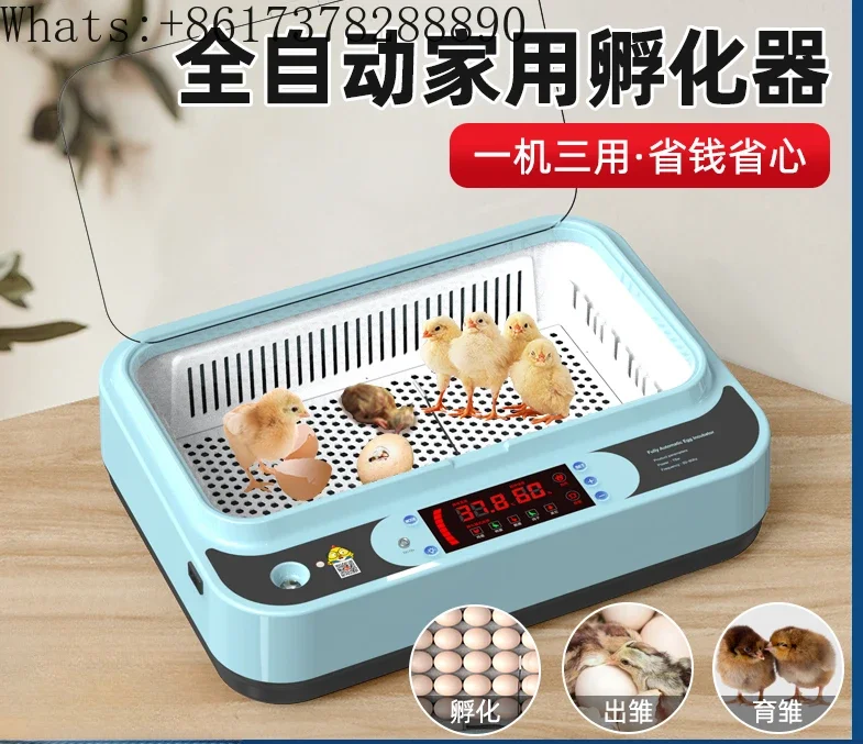 Инкубатор для цыплят Rudin небольшой домашний полностью автоматический уток и