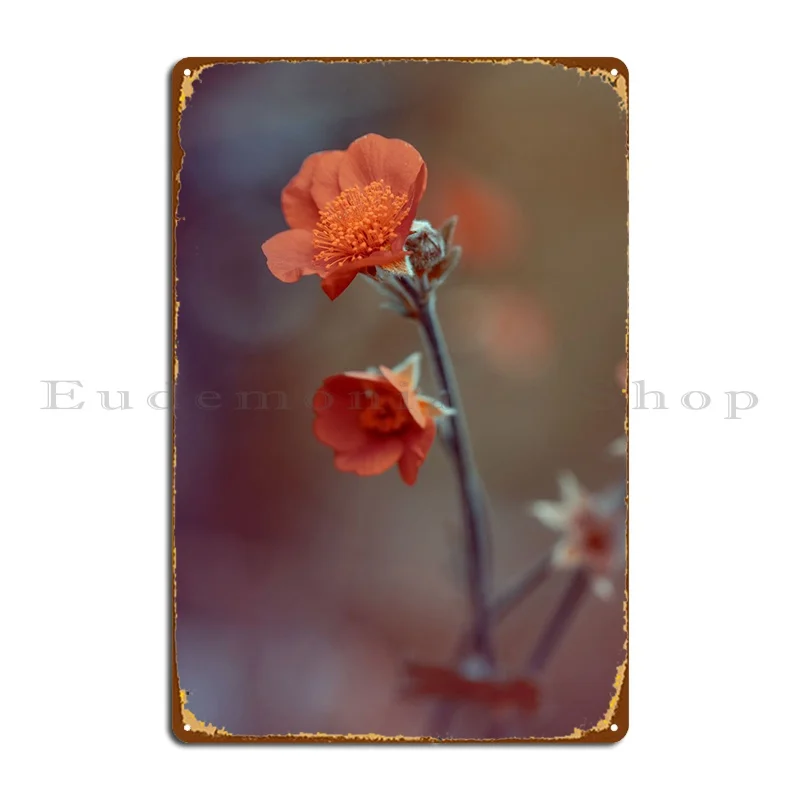 

Оранжевые цветы, металлический знак, стена, пещера, бар, пещера, пещера, печатная стена, пещера, жестяной знак, плакат