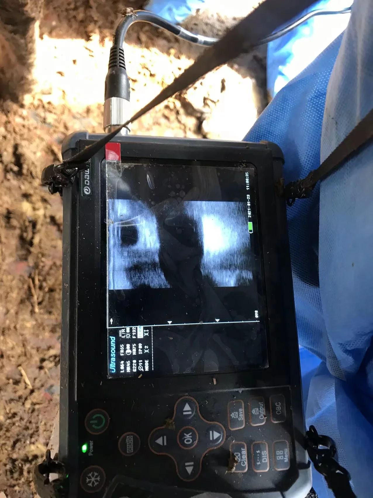 Самое дешевое ветеринарное оборудование для домашних животных Европы