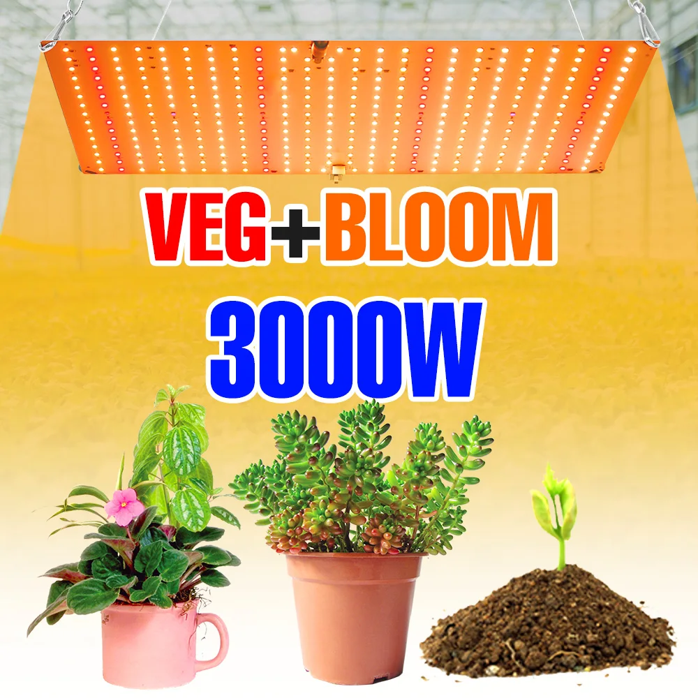 Luz Led de 3000W para cultivo, lámpara Phyto para plantas, Bombilla de espectro completo, tablero cuántico, sistema de cultivo hidropónico, semillas de flores de invernadero