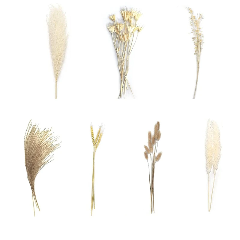 

80 Pcs Pampas Grass, Natural Dried Pampas Grass Decor, 17 Inch Dried Plants Boho Decor For Home Office Wedding Flower