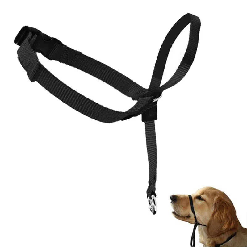 Gentle Leader Harness Lead 1