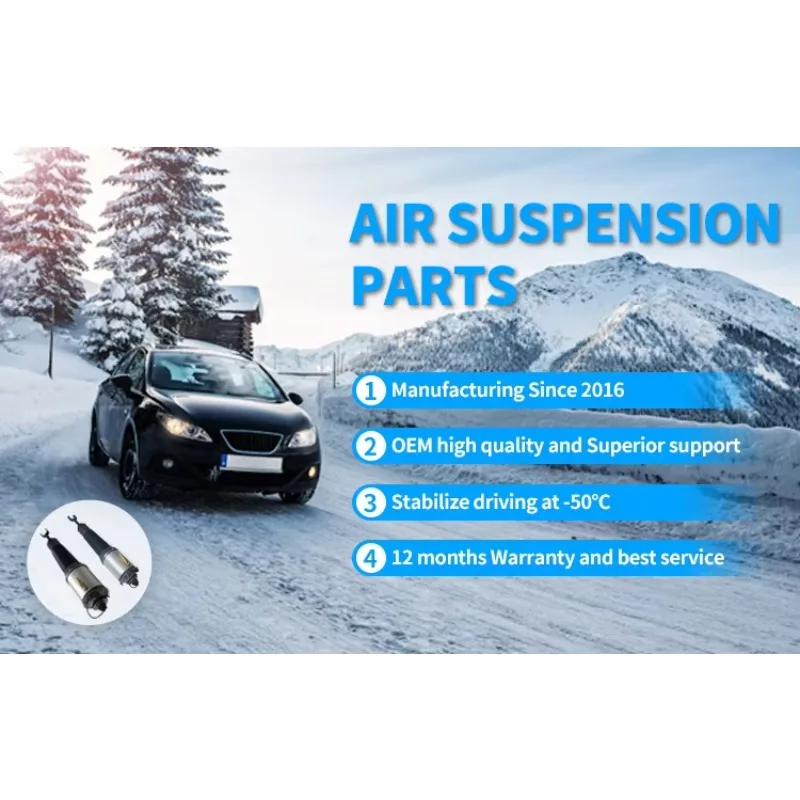 Фото Передний пневматический амортизатор для AUDI A6 (4F2 C6) (4FH C6) Quattro A6/A6 C6 Avant/A6 Allroad C6, пневмоподушка, 2004-2011 гг. №5