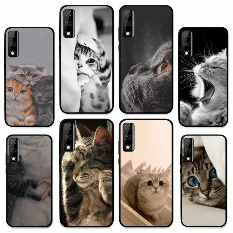 

Cute Cat Phone Case for Huawei Y 6 9 7 5 8s prime 2019 2018 enjoy 7 plus