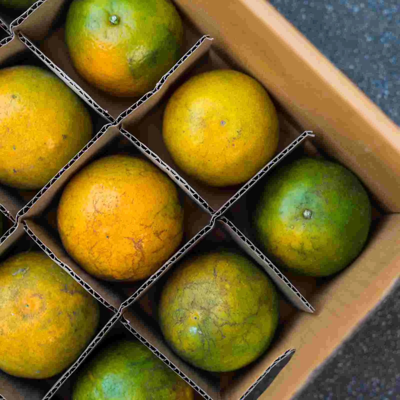 Доставка Картонные разделители Ящик для картонных упаковочных коробок Блюдо