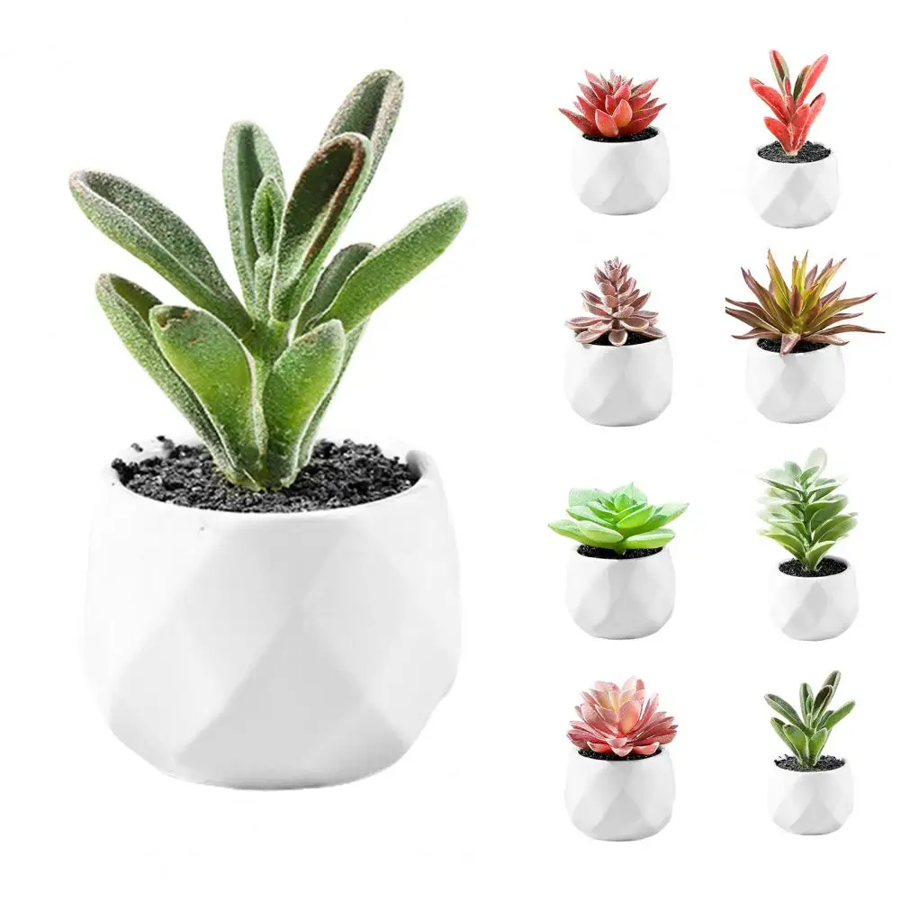 

Durable Fake Succulent PVC Simulation Bonsai Exquisite Simulation Succulent Green Plant Flower Home Decor Fadeless