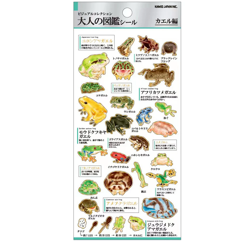 

Japan Kamio Adult's Picture Book Frogs Sticker Tree Frog Cartoon Cute Stationery