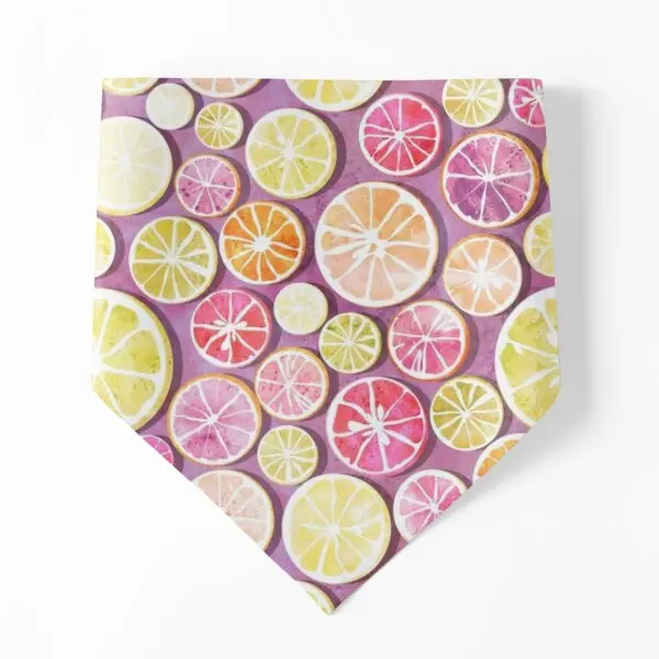 

Цитрусовые микс банданы для собак с принтом рождественские аксессуары костюм для питомца праздничное полотенце для щенка шейный платок товары для кошек