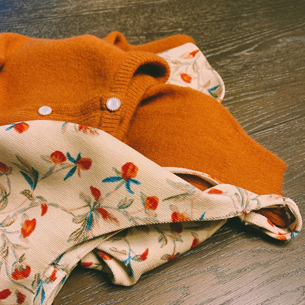 Orange Raccoon Velvet Knit cardigan Women Spring and Autumn 2024 New Korean Sle Short Retro Round neck sweater Outerwear Top