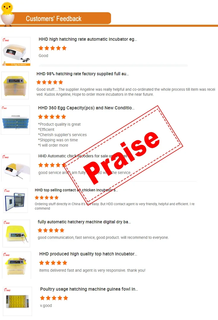 HHD новый мини-автоматический 24-яй инкубатор лучшего качества для куриных морских