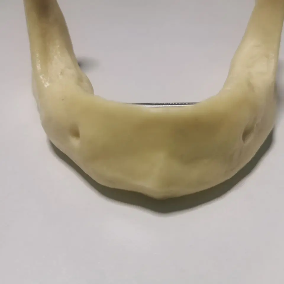 Dentistry Mandible implant practice model drilling Dental |