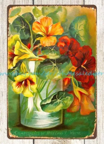 1908 семян цветов на выбор Миннеаполис Эмма в. Белая металлическая жестяная