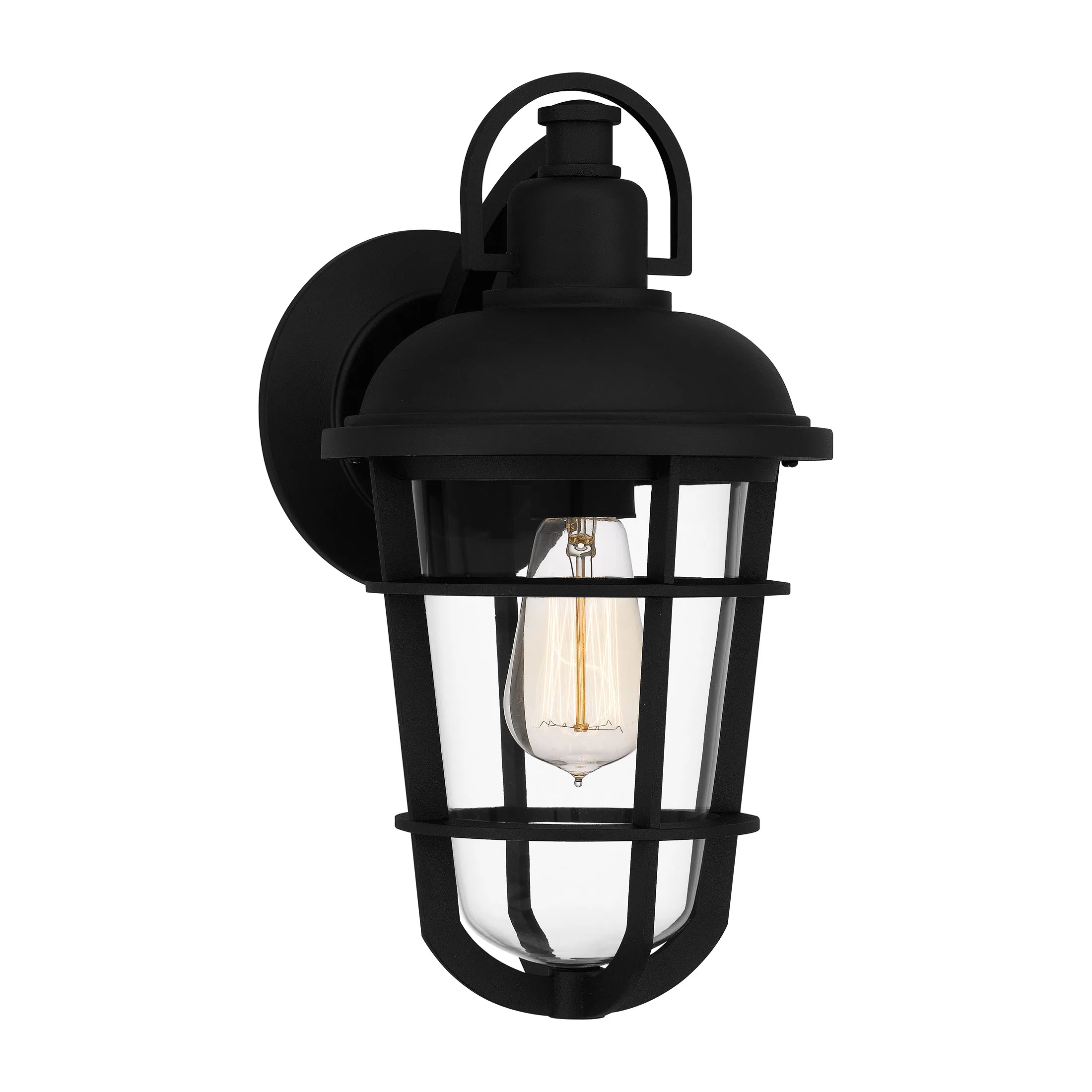 1-Light Earth Black Outdoor Wall Lantern