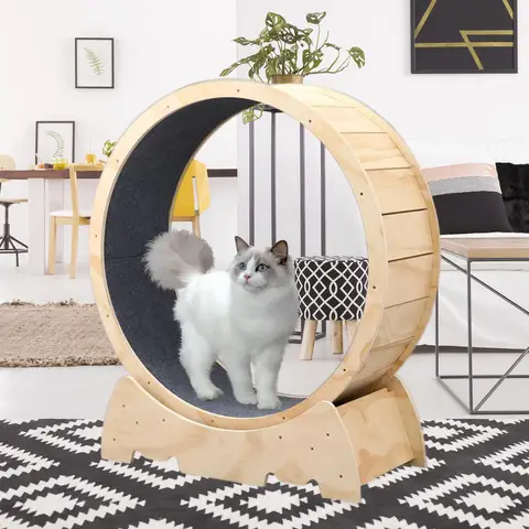 Беговой колесо для кошек - купить недорого | AliExpress
