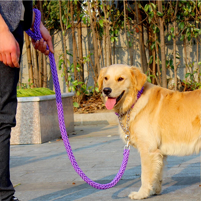 

Double Strand Dog Leash and Collar Set Metal P Chain Buckle Braided Rope Durable Pet Strong Training Traffic Walking Lead Leash