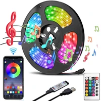 led strip light flexible lamp usb rgb 5050 music bluetooth remote control dc5v tv backlight fita luces party bedroom decoration
